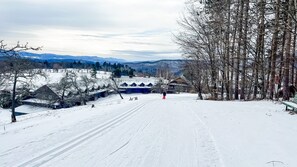 Sne- og skisport