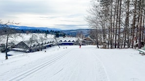 Sne- og skisport