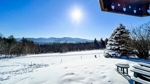 Sne- og skisport