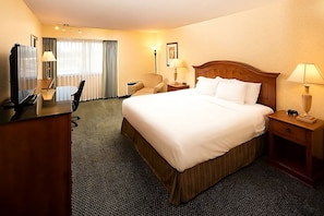 Amazing unit with 1 Queen size bed