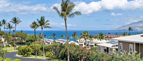 Gorgeous Ocean View from the Lanai