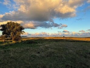Natur pur - Ruhe und Gelassenheit