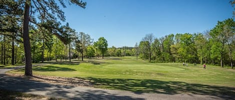 View of Coronado Golf Course from Back Deck