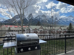 View from our very large patio with BBQ grill and patio furniture.