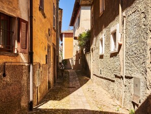 Window, Plant, Building, Infrastructure, Neighbourhood, Sky, Road Surface, Biome, Wood