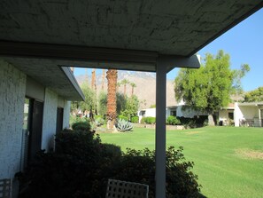 Rear Patio View
