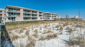 View from the beach