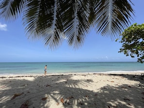 Beautiful beach with palms and almond trees that provide shadow.