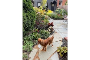 Teddy is sometimes there to welcome you on your way to home away from home.