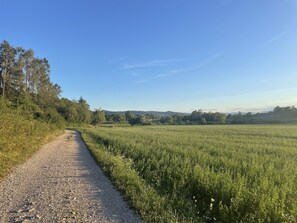 Photo non classée, 3 sur 22, bouton
