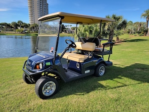 4-Seater Golf Cart Included!