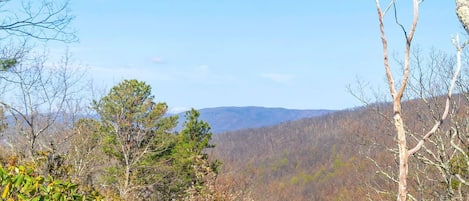 Mountain Views (spring time)