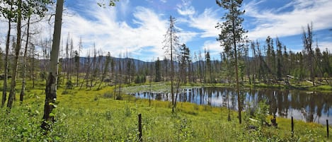 The Lily Pond - Part of RMNP