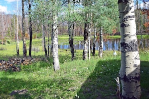 Summer view of Lilly Pond from the back deck.