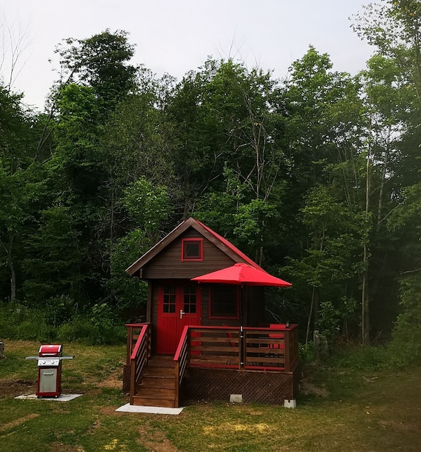 Cabin on a half acre site