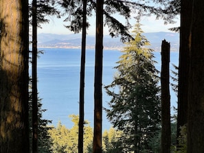 The view from the back of the house looks out to Bellingham Bay and Bellingham beyond. You can even see Mt. Baker peaking through. The trees surrounding you provide privacy and a place for the birds to enhance your experience with their song.