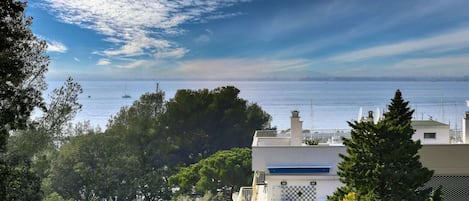 Water, Plant, Sky, Property, Swimming Pool, Blue, Tree, Body Of Water, Shade, Grass