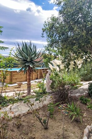 Garten, Sukkulente, Landscaping, Agave, Botanischer Garten