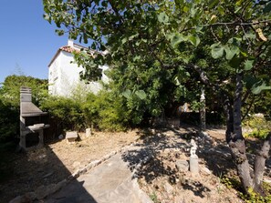 Plant, Plant Community, Sky, Tree, Landscape, Road Surface, Shrub, Grass, Shade, Road