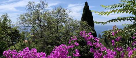 Jardines del alojamiento