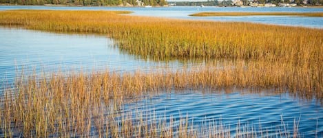 Essex River is one of the main waterways in what is called The Great Marsh
