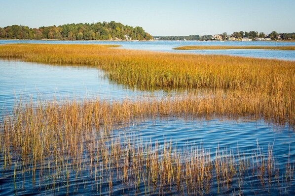 Essex River is one of the main waterways in what is called The Great Marsh
