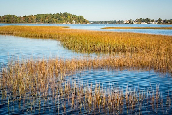 Essex River is one of the main waterways in what is called The Great Marsh