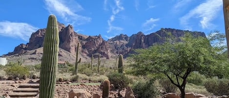 Welcome to Superstition Sanctuary!  We have stunning mountain views, a beautiful desert environment and a fantastic putting green in the back yard!