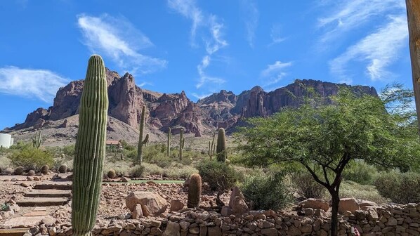 Welcome to Superstition Sanctuary!  We have stunning mountain views, a beautiful desert environment and a fantastic putting green in the back yard!