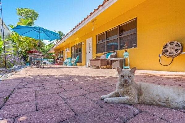 Rocky is part of the welcoming team. He’s very friendly. 