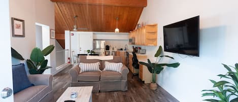 Living room with pull out couch, TV, and fireplace