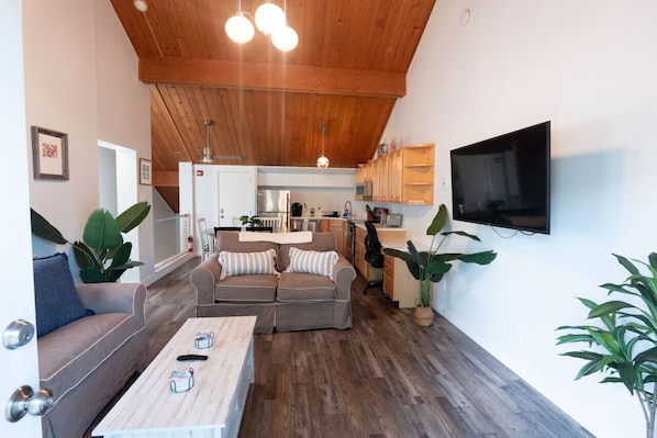 Living room with pull out couch, TV, and fireplace