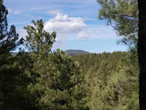 View from the Deck