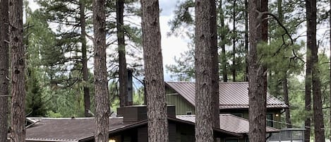 View of the cabin from the backyard. 
 The ADU is above the attached garage.