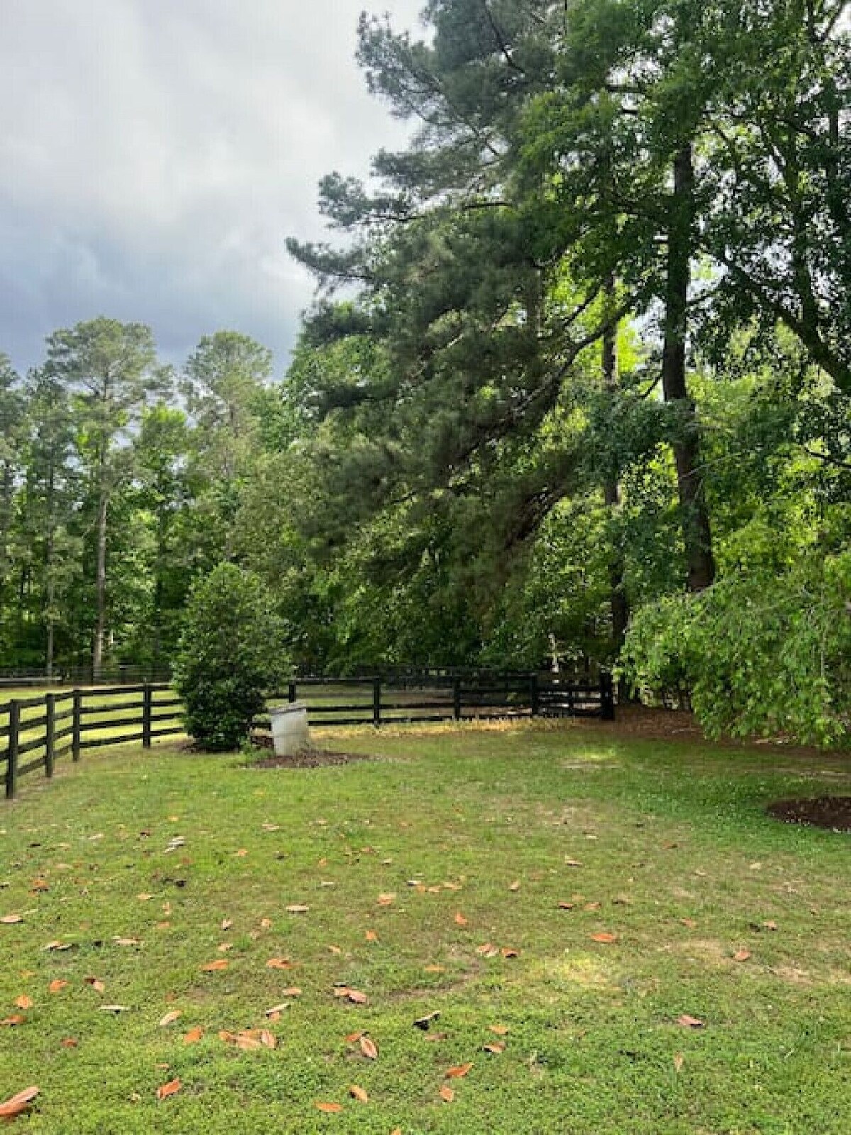 Private Cottage on Horse Farm in Williamsburg!