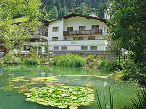 Wasser, Pflanze, GebĂ€ude, Fenster, Natur, Botanik, Baum, NatĂŒrliche Landschaft, Vegetation, Blume