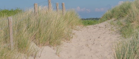 Himmel, Pflanze, Pflanzengemeinschaft, Natürliche Landschaft, Landschaft, Terrestrische Plant, Gras, Wiese, Strauch, Halbstrauch