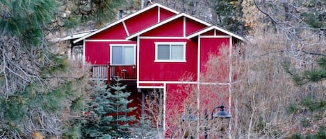 Red cabin in the woods
