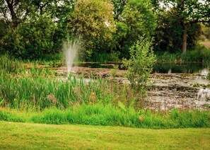 Kingfisher - Flaxton Meadows Luxury Lodges, Flaxton