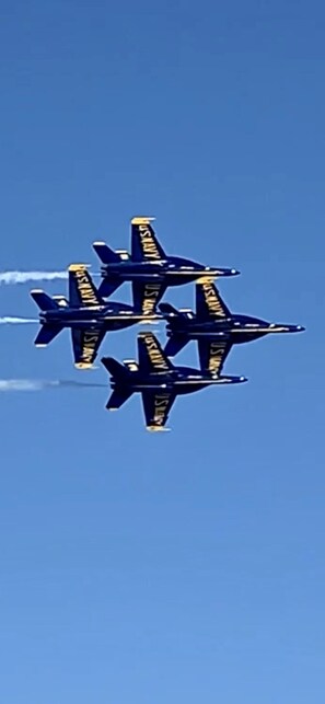 Flyby by our Blue Angels
