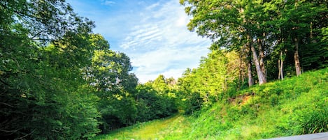 Overnatningsstedets område