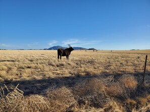 View from our front yard