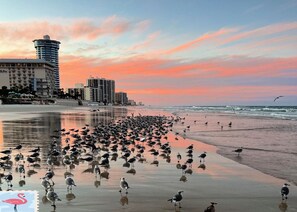 Playa