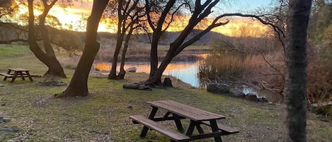 Overnatningsstedets område