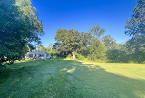 Front Yard