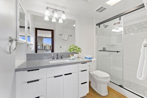 Full bathroom with walk in shower