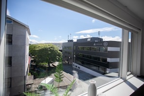 Vista desde la habitación