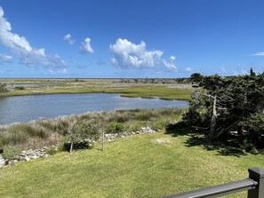 View from Upper Deck