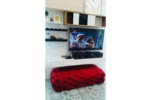 Television