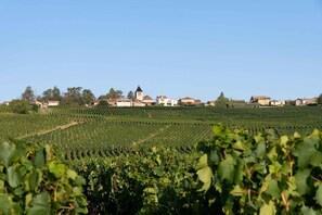 Chaintré, ses vignes et ses maisons en pierre couvertes de tuiles romaines